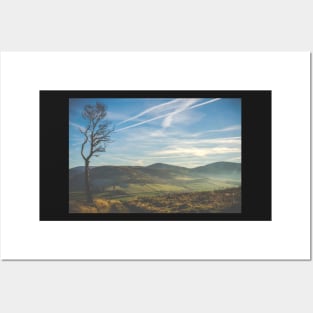 Windswept Scottish Landscape Posters and Art